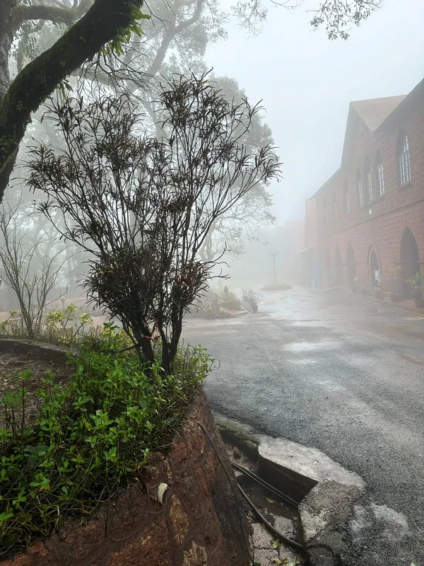 Mist over the road beside the club building in the early morning