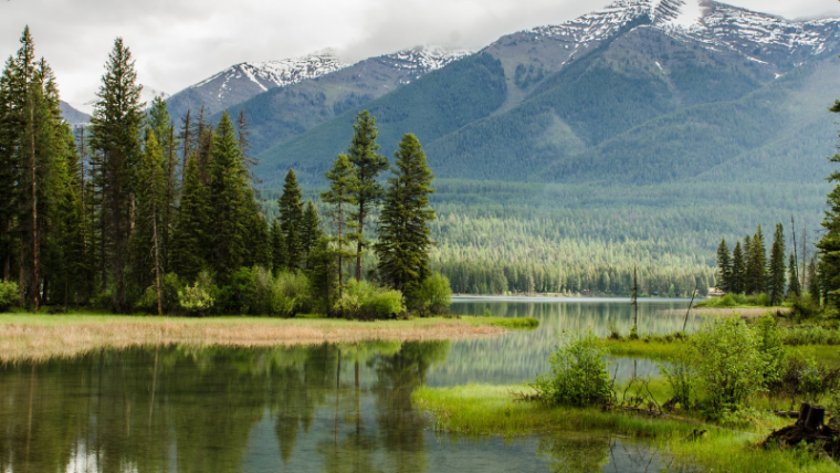 Yoga and Nature Retreats