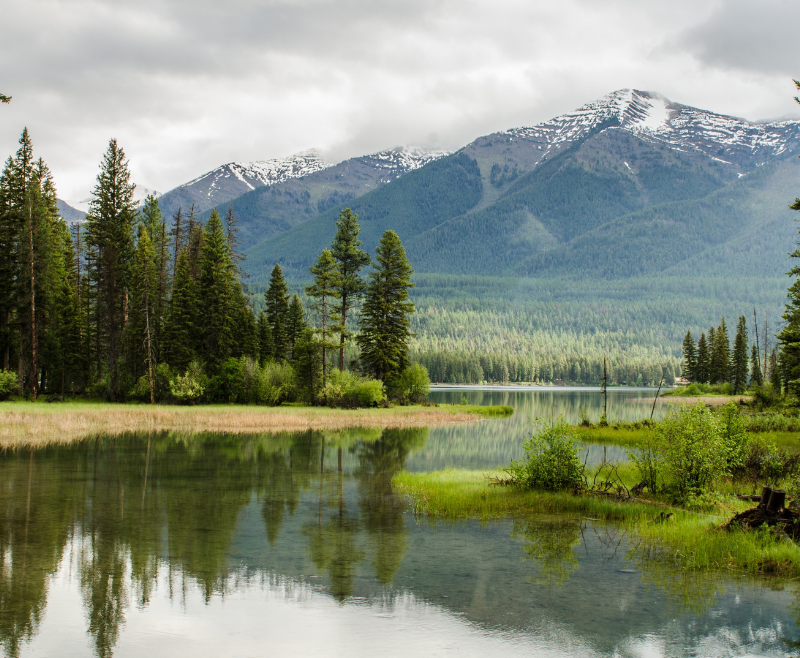 Yoga and Nature Retreats
